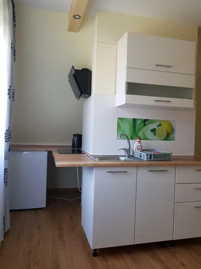 Bed & Breakfast Willa U Slodkiego Zakopane